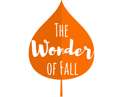The 2023 Lafayette Fall Festival is almost here!
