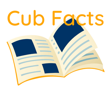 The Newest Edition of Cub Facts is Here!
